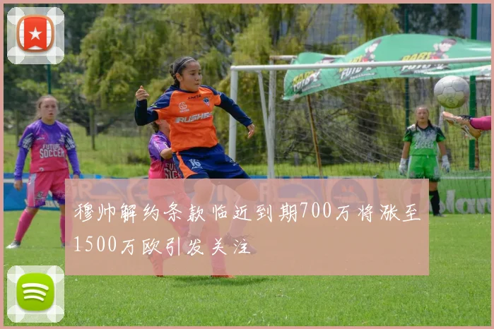 穆帅解约条款临近到期700万将涨至1500万欧引发关注