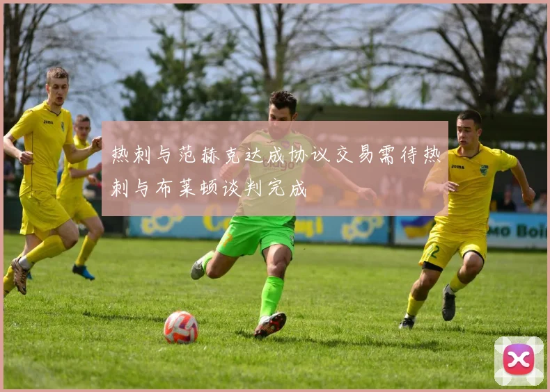 热刺与范赫克达成协议交易需待热刺与布莱顿谈判完成